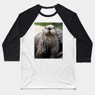 Cute Sea Otter Baseball T-Shirt